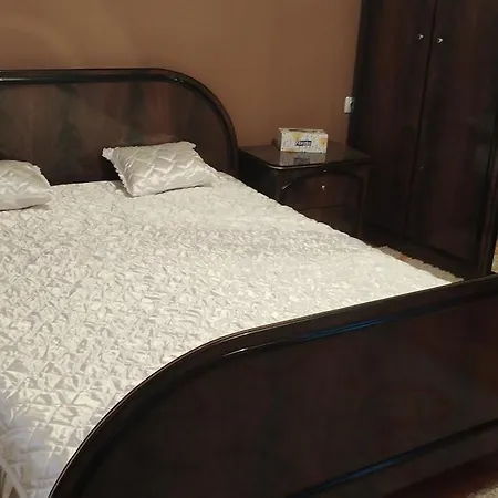 Stamenkovic Apartment Vranje