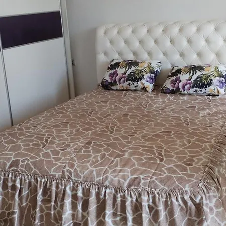 Stamenkovic Apartment Vranje