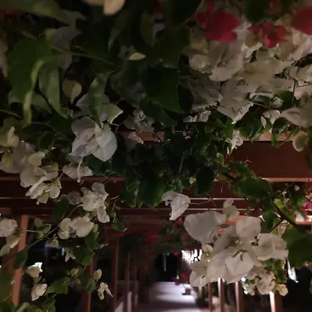 Apartment Stamenkovic