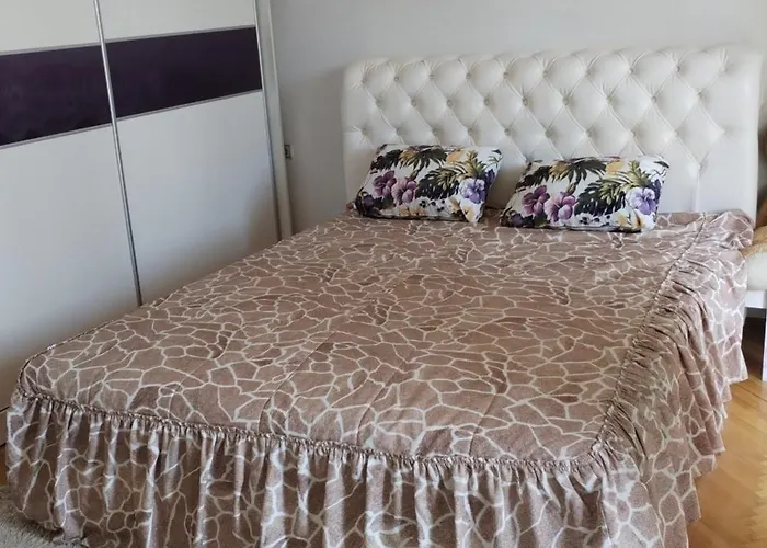 Stamenkovic 아파트 브라네