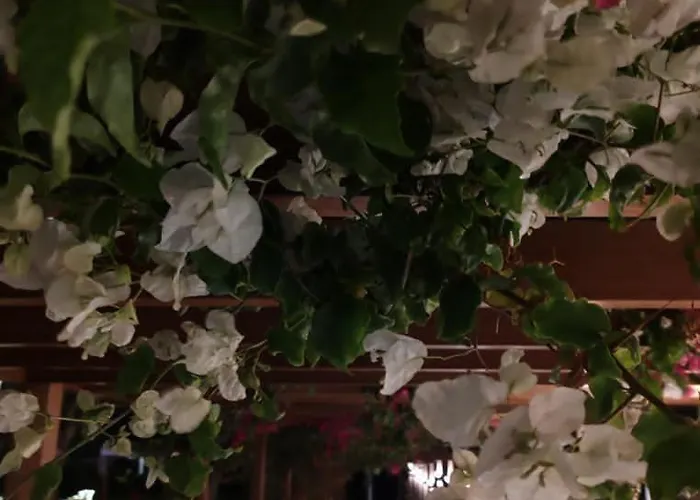 아파트 Stamenkovic